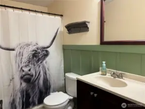 Main bath. Shower curtain to go with seller.