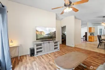 Ceiling fan in the Rec Room.
