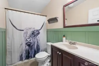 Main Bath. Shower curtain will go with the seller.