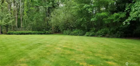 Previous year's pics showing what the yard has looked at its peak of the season!