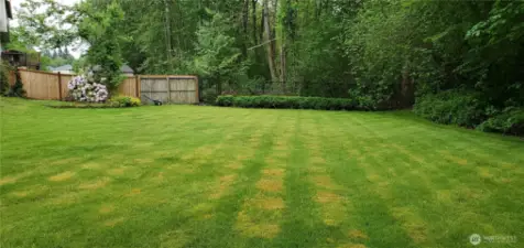 Previous year's pics showing what the yard has looked at its peak of the season!