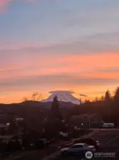 View from the back of the home