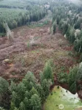 Wildlife, away from town but not too far.