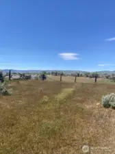 Northwest corner of property