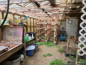 Inside Green House