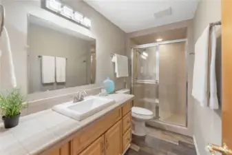 Lower level 3/4 bathroom