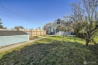 The fully fenced back yar has a high yielding pear and apple tree and two raised garden beds, with plenty of room for more.