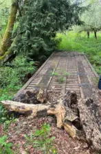 Bridge over the creek.