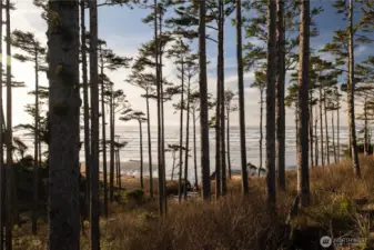 Beach Access