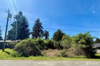 Looking West