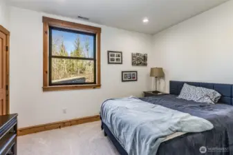 2nd Bedroom, downstairs with walk-in closet