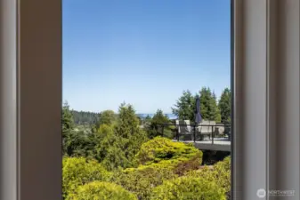 View from sunroom
