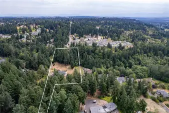 Facing east towards Mt Rainier