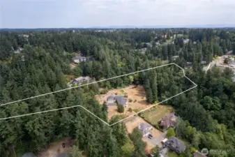 The whole left side of the road leading to the house is part of the lot