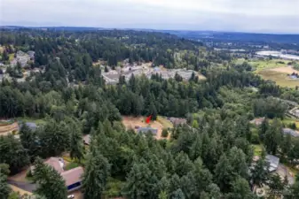 Your private homestead is surrounded by trees