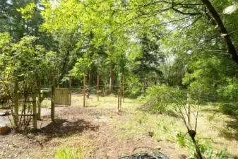 Sunny fenced garden
