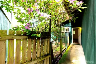 walkway to guest house