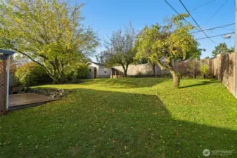 Huge backyard with space to play, garden, relax