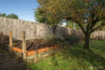 Raised garden beds ready for your green thumb!
