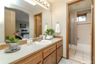 Primary Bath Skylight for lots of Natural Light