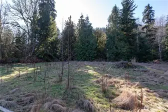 Plenty of open space