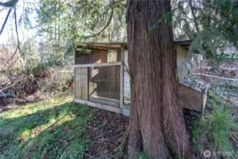 Room for the chickens!!