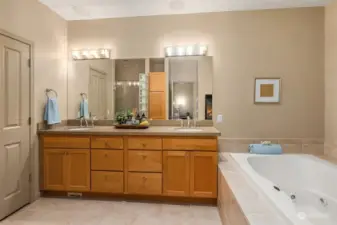 Primary bath offers spa-like experience with jetted tub and walk-in shower.