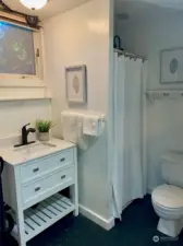 Lower level bathroom.