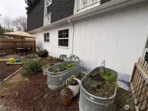 Current side yard in winter.