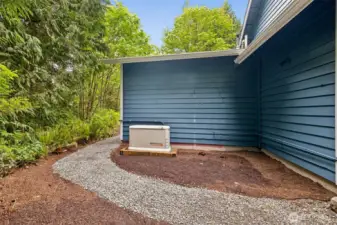 All house auto generator