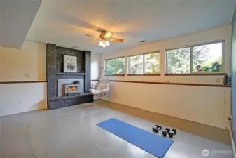 Cozy fireplace & tons of bonus space downstairs with recently polished/finshed concrete floors.