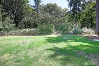 Large, fully fenced backyard.
