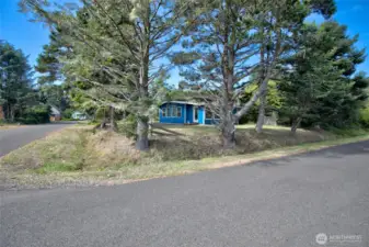 Large corner lot with mature trees