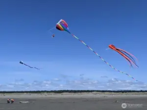 Let's go fly a kite. You'll never run out of things to do in Ocean Shores!