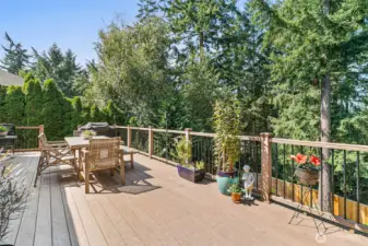 Extended Deck