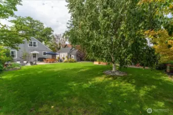 Mature Landscaping