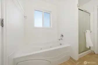 Owner's Suite Bathroom