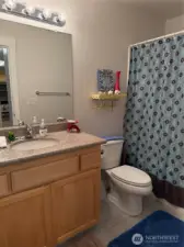 Hall bathroom