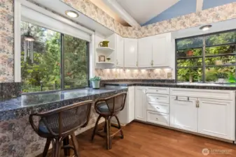 Breakfast bar in the kitchen w/a view to the side yard.