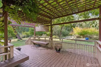 Large deck that is perfect for entertaining!
