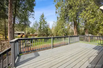 Entertainment Size Deck