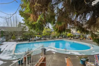 Exterior pool with Cabana