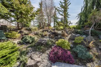 Professional Landscape