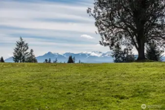 Olympic Mt Views