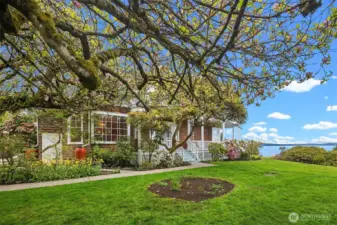 Established shy 1/2 plot. Some trees and shrubs are as mature as the home itself.