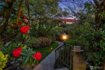This is the entrance to the home. Rare city seclusion and privacy with premier convenience views.