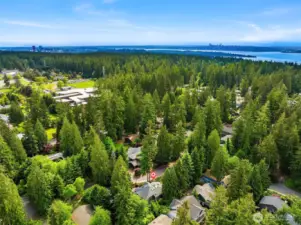 Stroll to Kirkland pedestrian bridge, to Taylor Fields park (with 30+ acres of trails), stores, and ideally located ~ just minutes to Downtown Kirkland, Bellevue, Microsoft, & more! Lauded, award-winning Lake Washington School District.     A special and unique residence to call HOME!