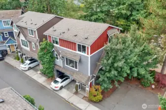 Arial View