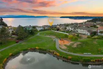 Community pond and park.