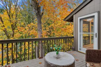 Shared deck off dining room